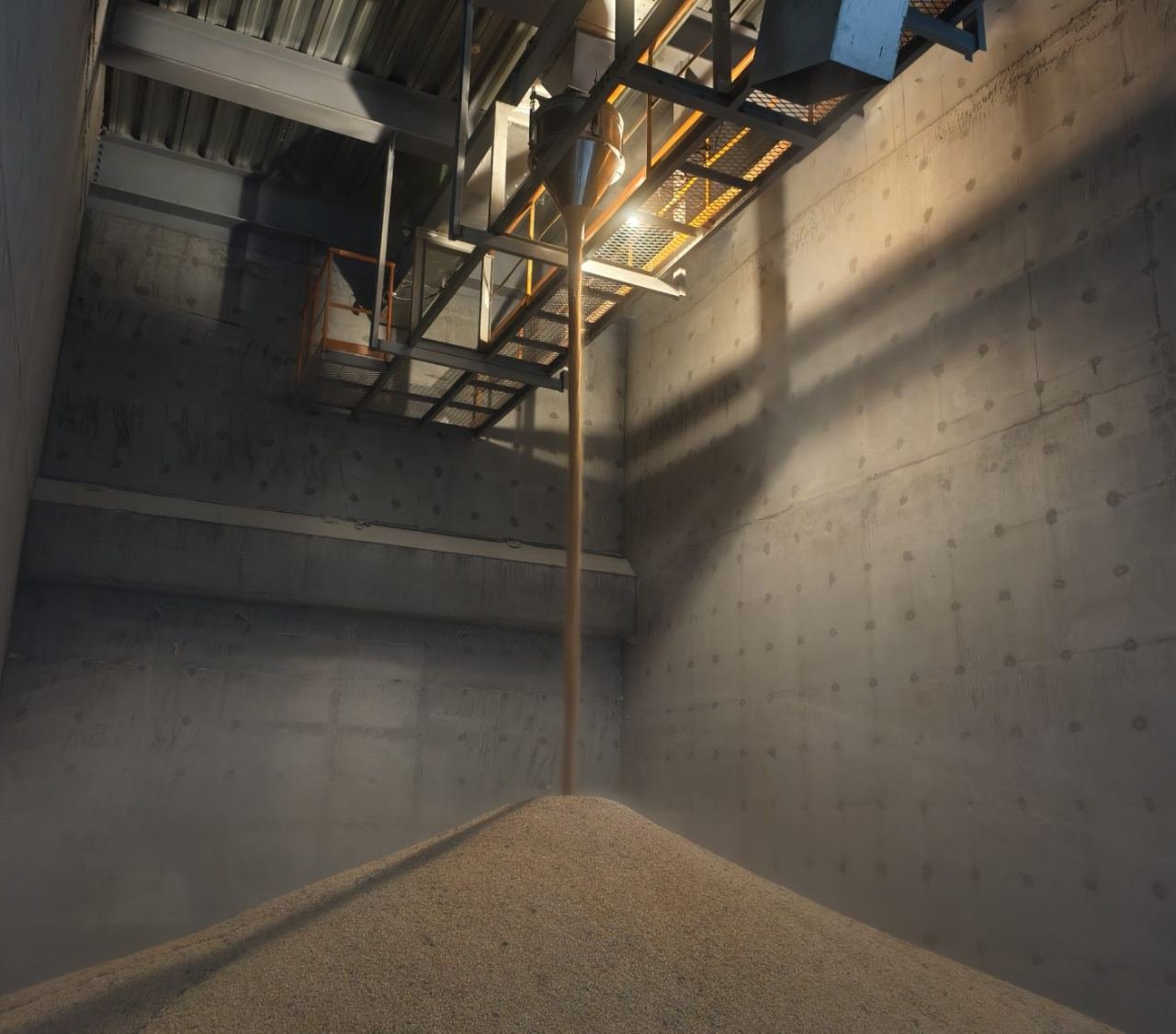 A DC Mini FT hopper on the overhead walkway discharging maize as a solid column the full height of the storage bay onto the pile below
