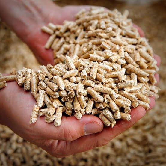Wood pellets held in cupped hands