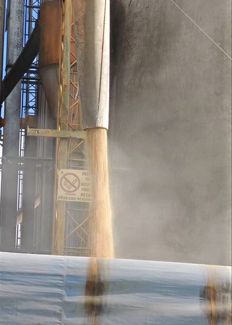 Corn leaving a bare chute outlet as a widening stream, with dust rising alongside it