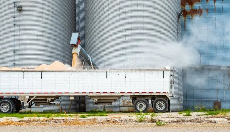 Semi truck trailer being loaded from a silo spout, dust drifting across the yard