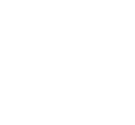Footer Logo Dust Cone