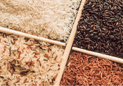 GRAIN / WHEAT